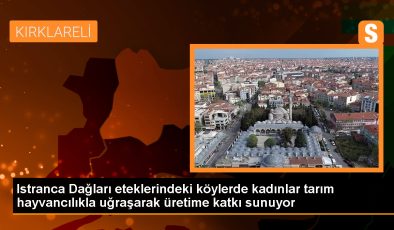 Kırklareli Köylerinde Kadınlar Tarla İşlerinden Hayvan Bakıcılığına Destek Oluyor